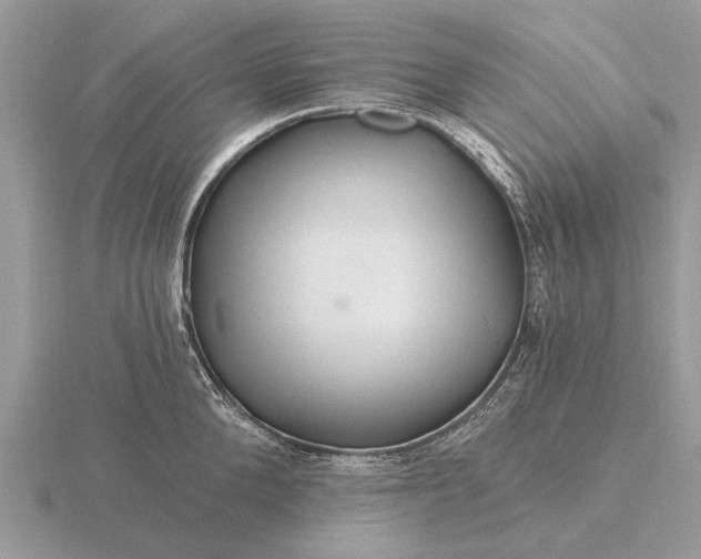 X0000116280904200912141346