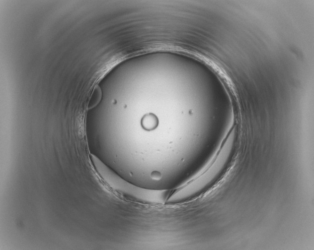 X0000116280905200912141346