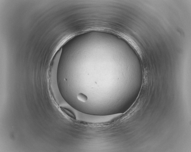 X0000116280906200912141346