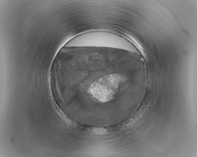 X0000116280907200912141346