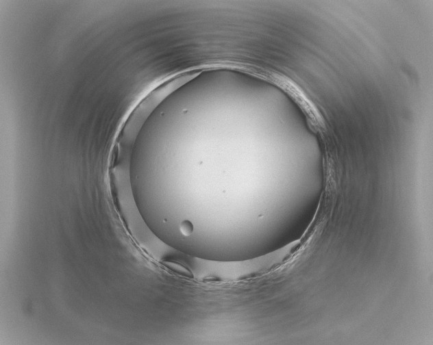 X0000116280908200912141346