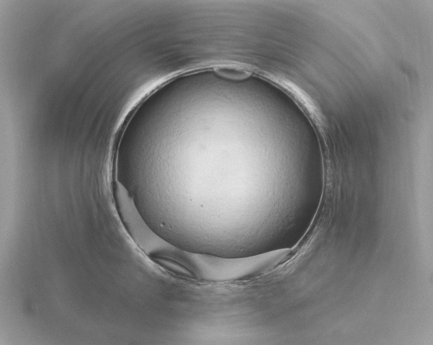 X0000116280910200912141346