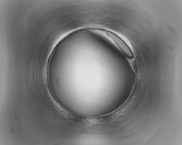 X0000116280911200912141346