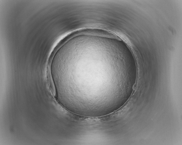 X0000116280912200912141346