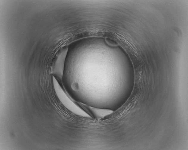 X0000116280914200912141345