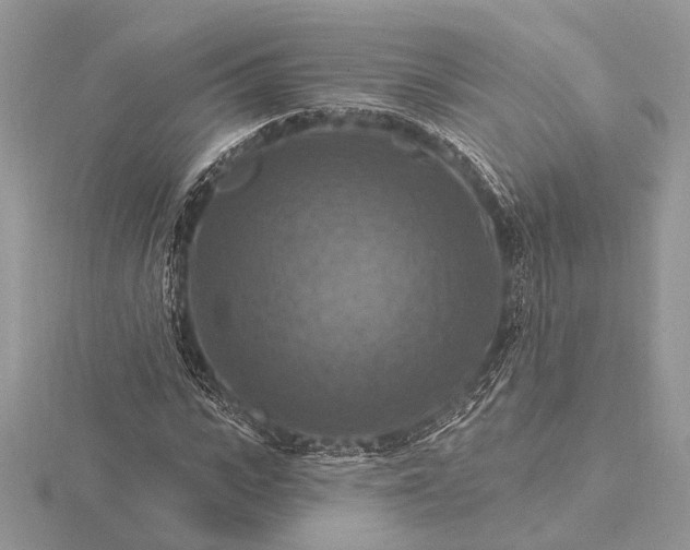 X0000116280919200912141345