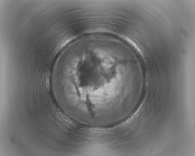 X0000116280921200912141345