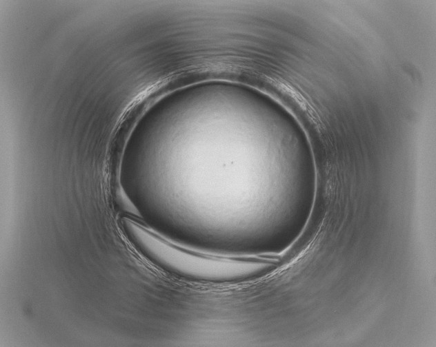 X0000116280922200912141345