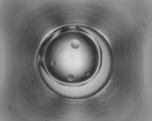 X0000116280925200912141345