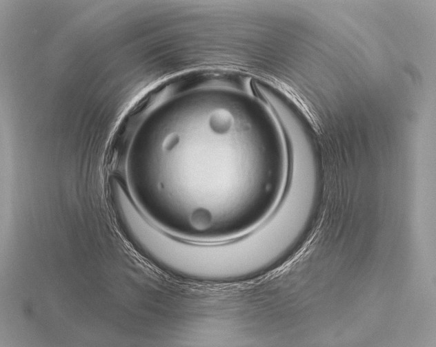 X0000116280926200912141345