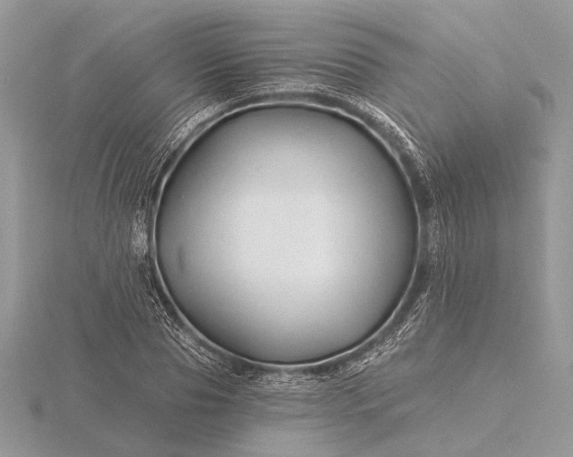 X0000116280929200912141345