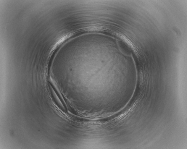 X0000116280930200912141345