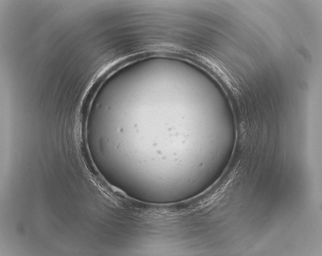 X0000116280931200912141345