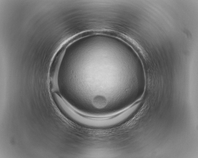 X0000116280935200912141345