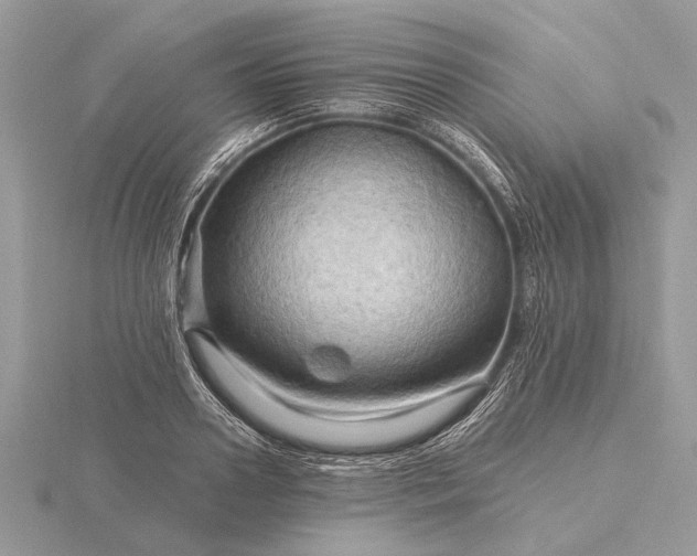 X0000116280938200912141346