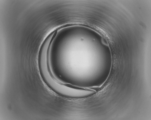 X0000116280942200912141346