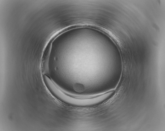 X0000116280943200912141346