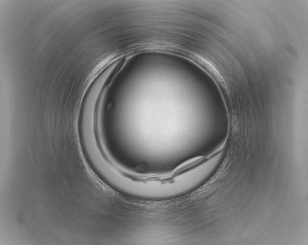 X0000116280946200912141346