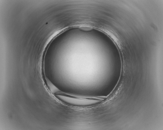 X0000116280949200912141346