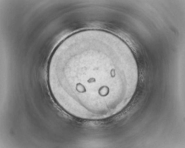 X0000116280950200912141346