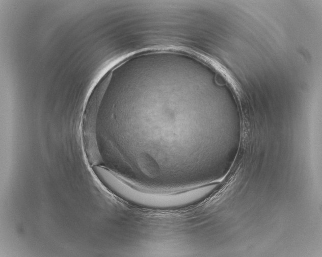 X0000116280951200912141346