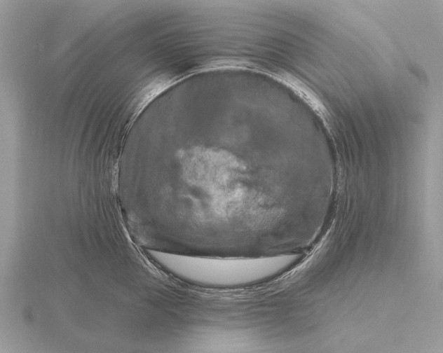 X0000116280953200912141346