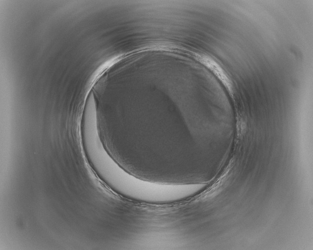 X0000116280954200912141346