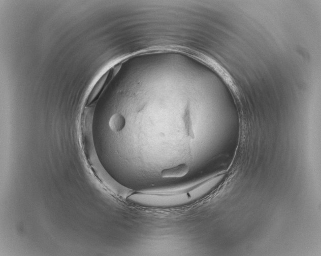 X0000116280955200912141346