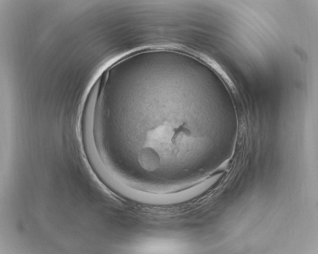 X0000116280959200912141346