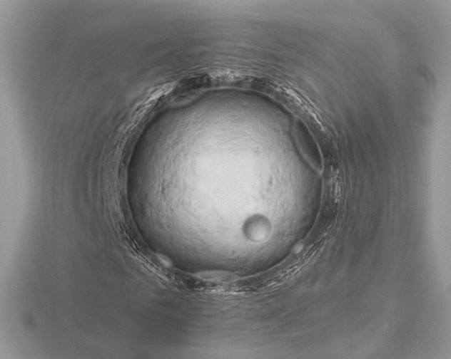 X0000116280961200912141345