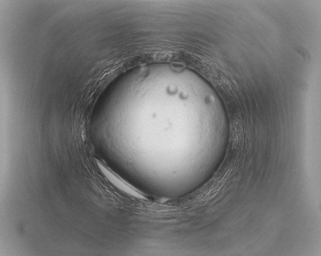 X0000116280962200912141345