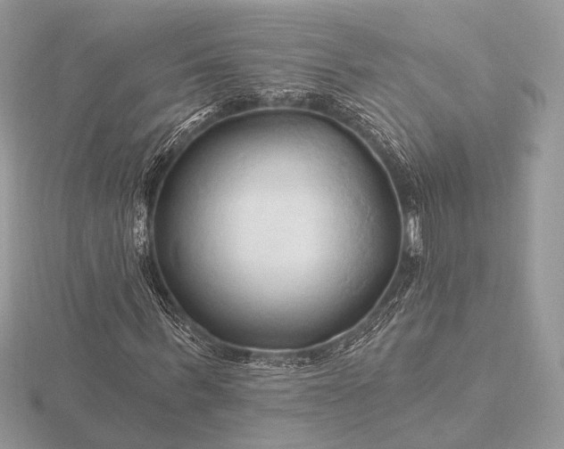 X0000116280963200912141345