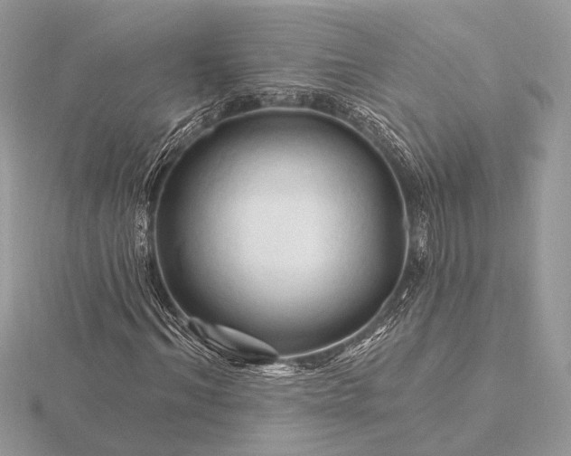 X0000116280964200912141345