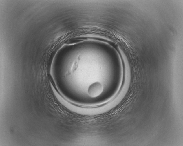 X0000116280965200912141345