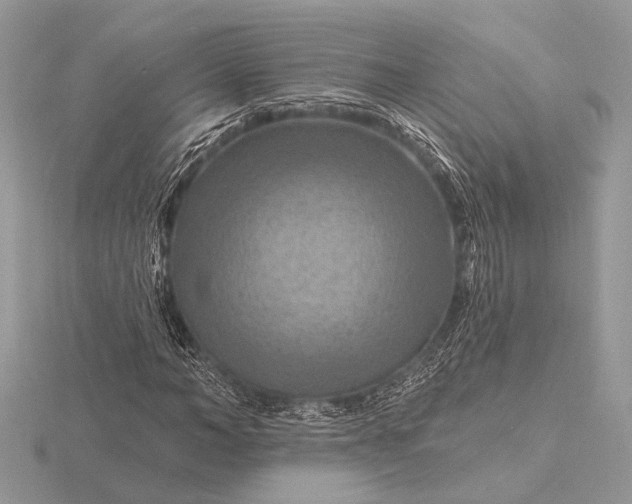 X0000116280966200912141345