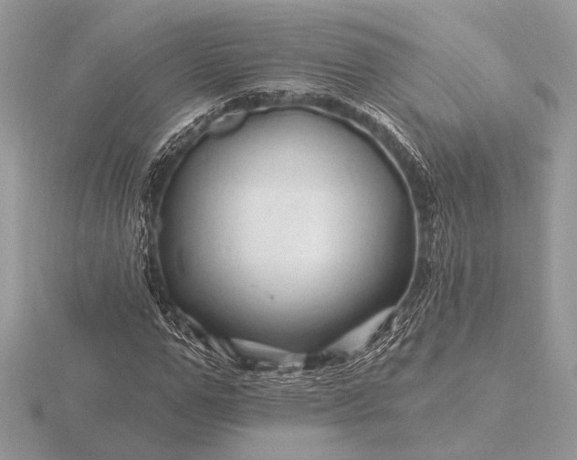 X0000116280967200912141345