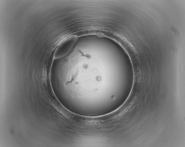 X0000116280969200912141345