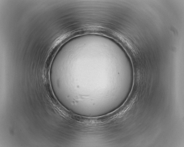 X0000116280970200912141345