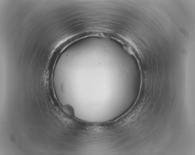 X0000116280971200912141345