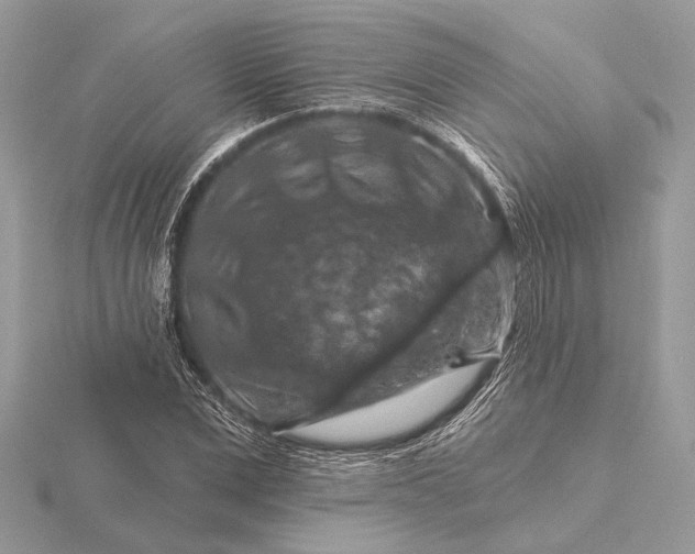 X0000116280975200912141345