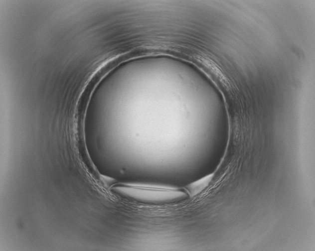 X0000116280976200912141345