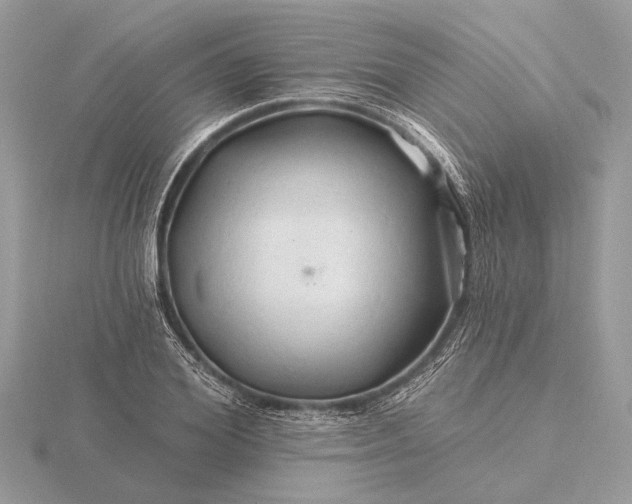 X0000116280980200912141345