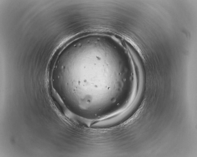 X0000116280981200912141345