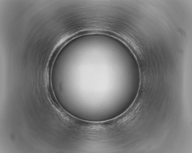 X0000116280982200912141345