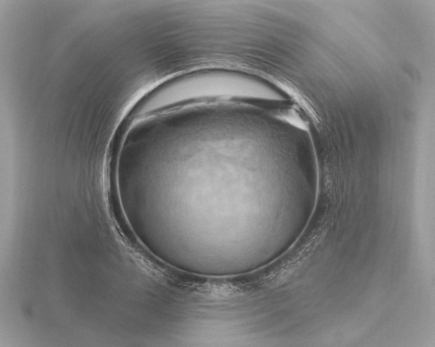 X0000116280983200912141345