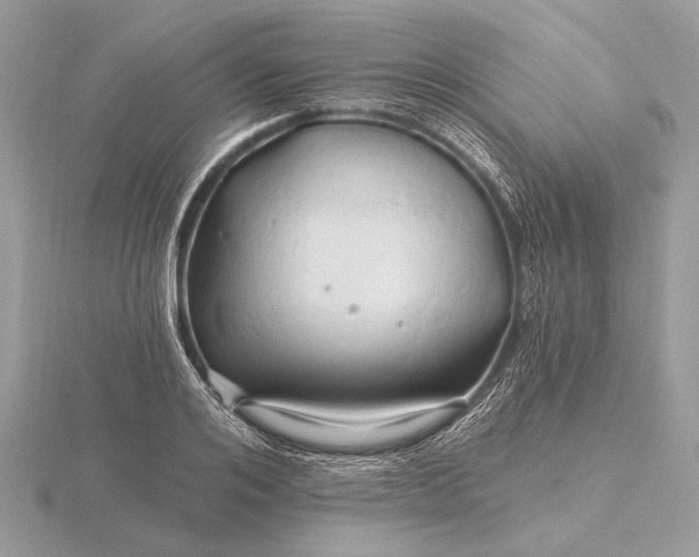 X0000116280984200912141345