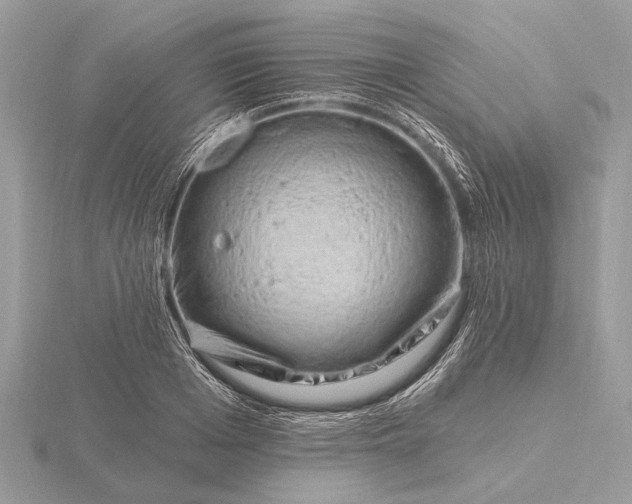 X0000116280985200912141345