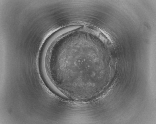 X0000116280987200912141345