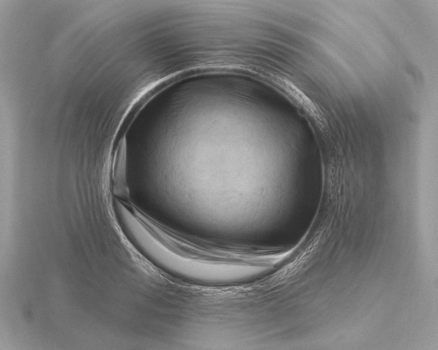 X0000116280988200912141345