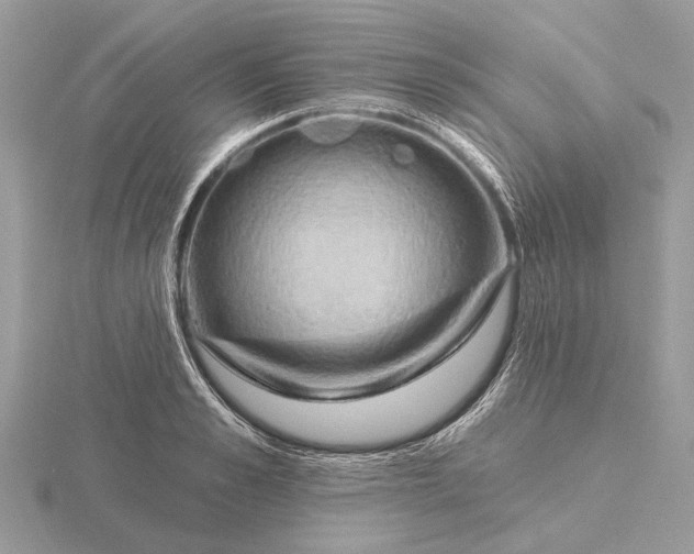 X0000116280989200912141345